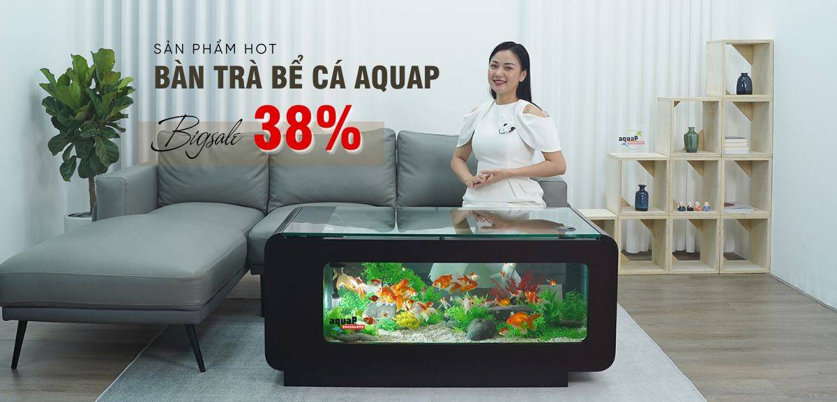 bàn trà sofa vip