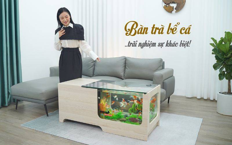 Liên hệ đội ngũ tư vấn của BAN TRA VIP ĐA NĂNG
